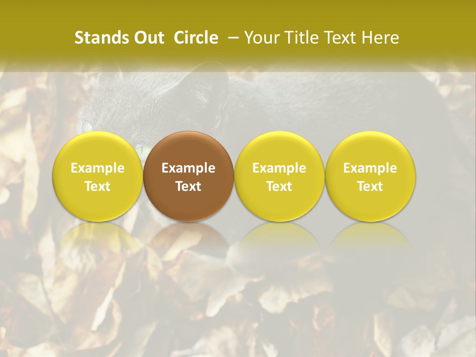 A Gray Cat Standing On Top Of A Pile Of Leaves PowerPoint Template