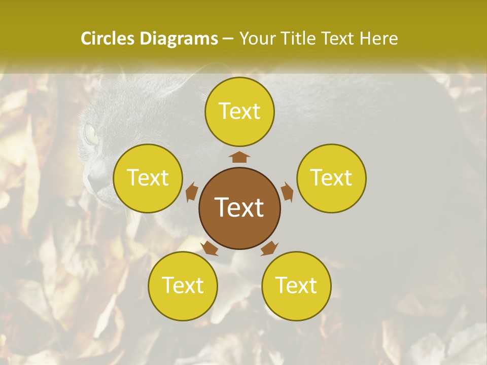 A Gray Cat Standing On Top Of A Pile Of Leaves PowerPoint Template