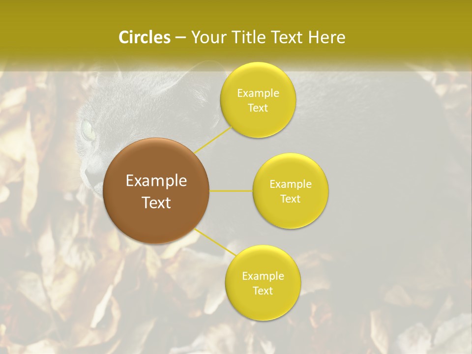 A Gray Cat Standing On Top Of A Pile Of Leaves PowerPoint Template