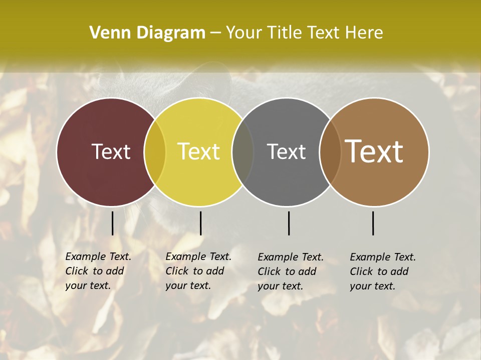 A Gray Cat Standing On Top Of A Pile Of Leaves PowerPoint Template
