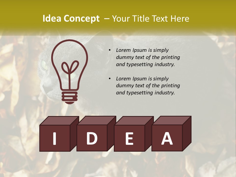 A Gray Cat Standing On Top Of A Pile Of Leaves PowerPoint Template