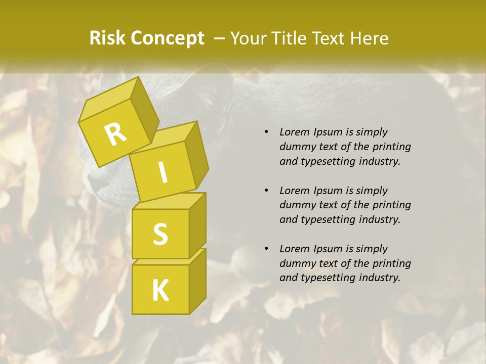 A Gray Cat Standing On Top Of A Pile Of Leaves PowerPoint Template