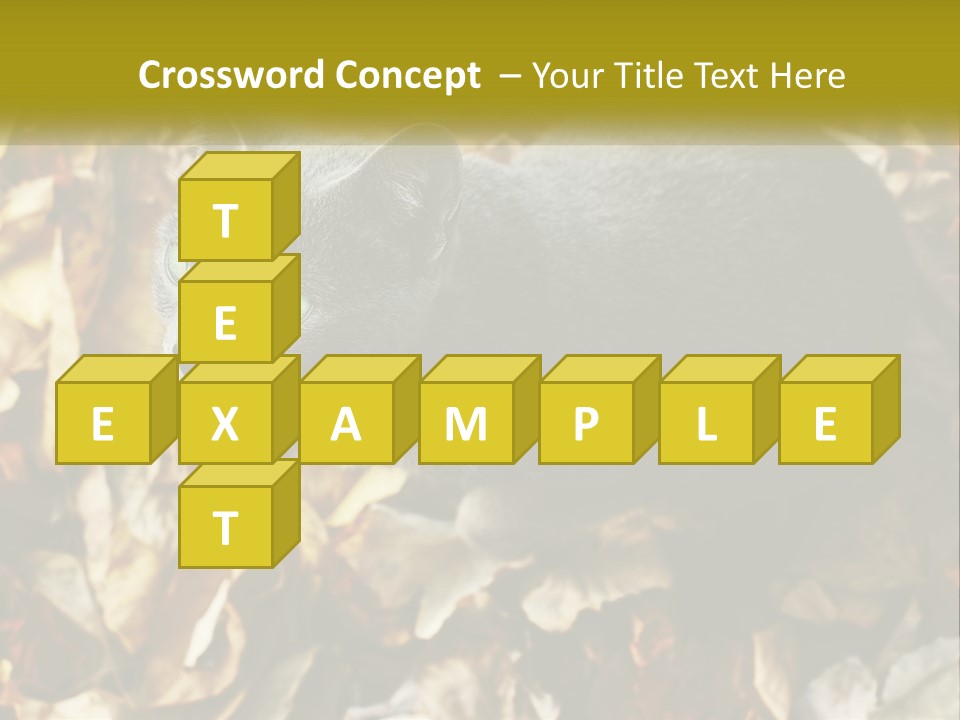 A Gray Cat Standing On Top Of A Pile Of Leaves PowerPoint Template