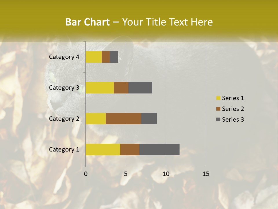 A Gray Cat Standing On Top Of A Pile Of Leaves PowerPoint Template
