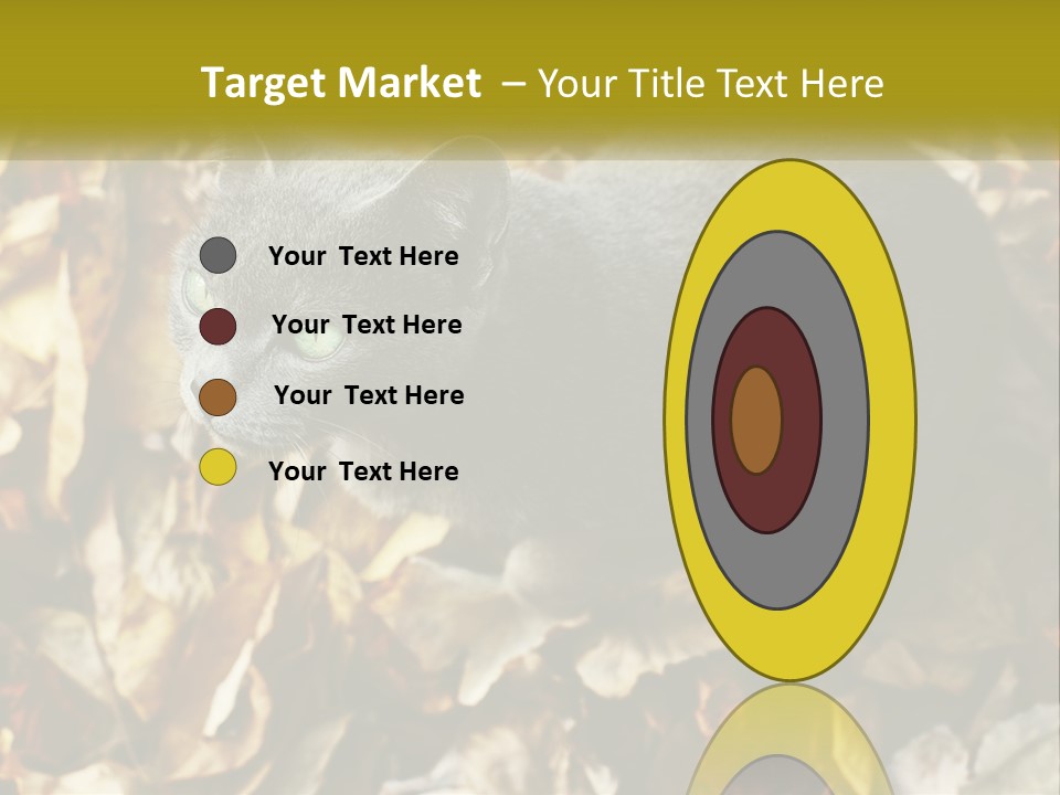 A Gray Cat Standing On Top Of A Pile Of Leaves PowerPoint Template