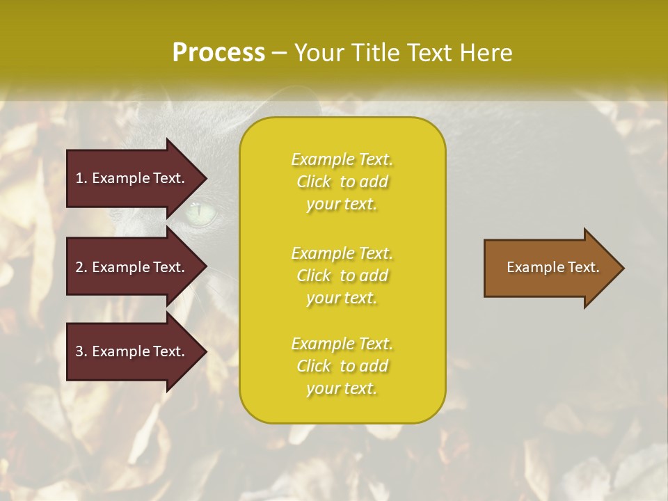 A Gray Cat Standing On Top Of A Pile Of Leaves PowerPoint Template