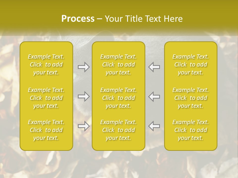 A Gray Cat Standing On Top Of A Pile Of Leaves PowerPoint Template