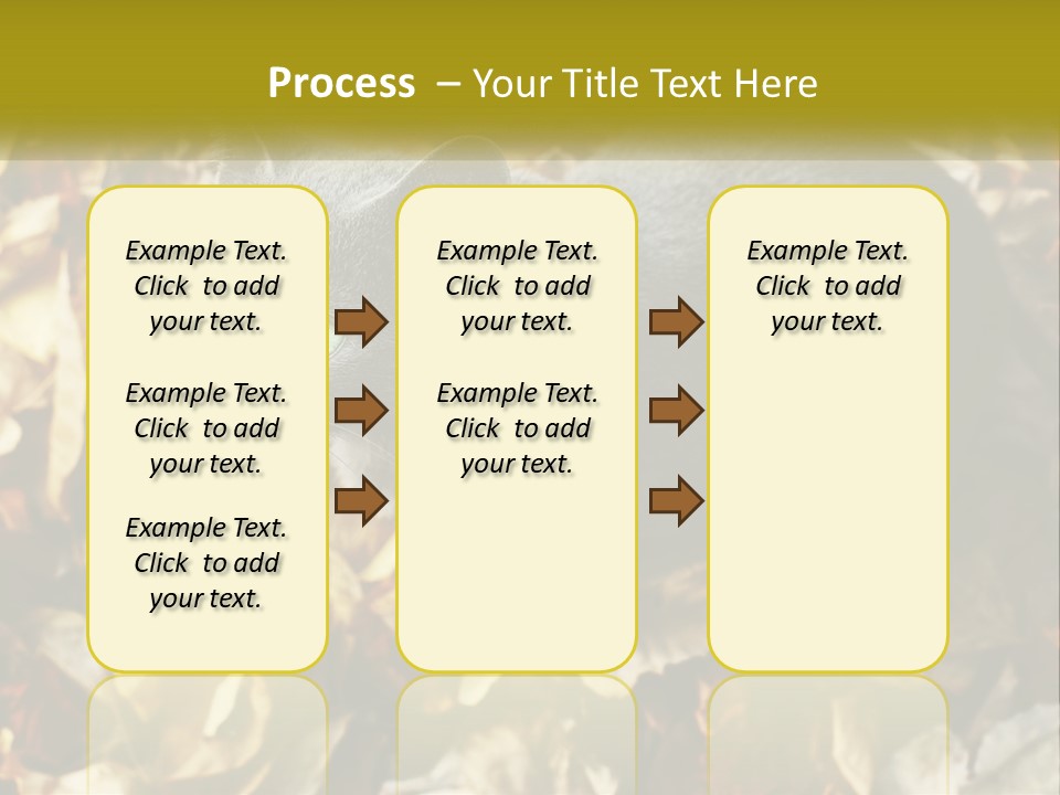 A Gray Cat Standing On Top Of A Pile Of Leaves PowerPoint Template