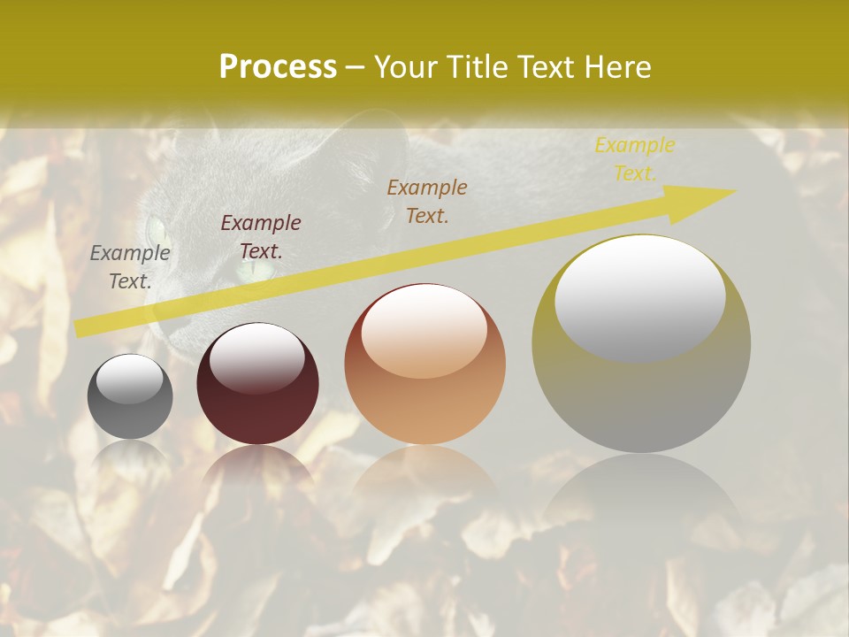 A Gray Cat Standing On Top Of A Pile Of Leaves PowerPoint Template