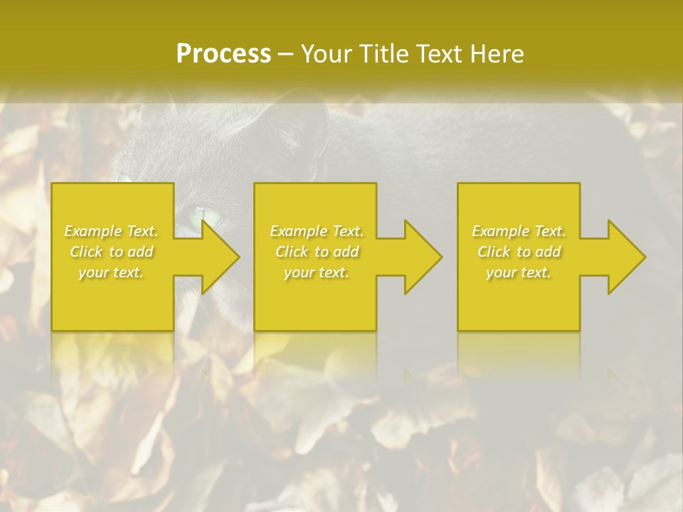 A Gray Cat Standing On Top Of A Pile Of Leaves PowerPoint Template