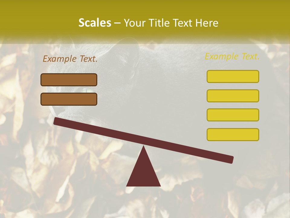A Gray Cat Standing On Top Of A Pile Of Leaves PowerPoint Template