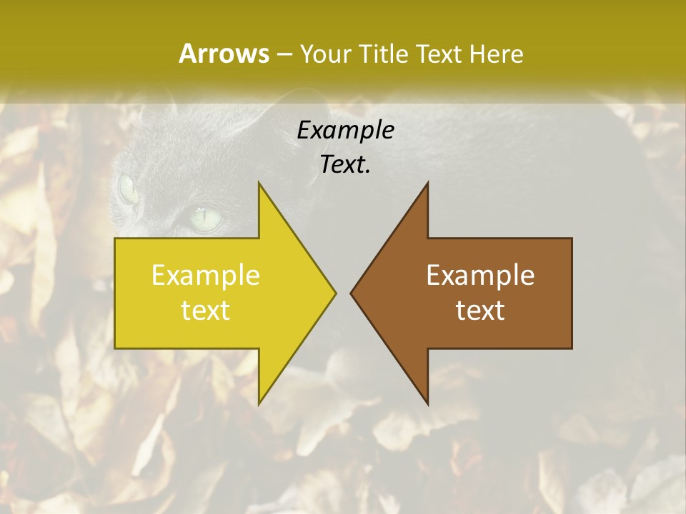 A Gray Cat Standing On Top Of A Pile Of Leaves PowerPoint Template