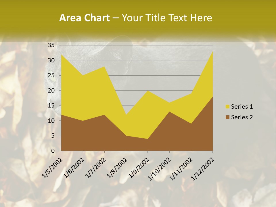 A Gray Cat Standing On Top Of A Pile Of Leaves PowerPoint Template