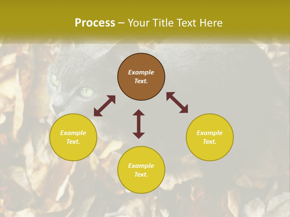 A Gray Cat Standing On Top Of A Pile Of Leaves PowerPoint Template