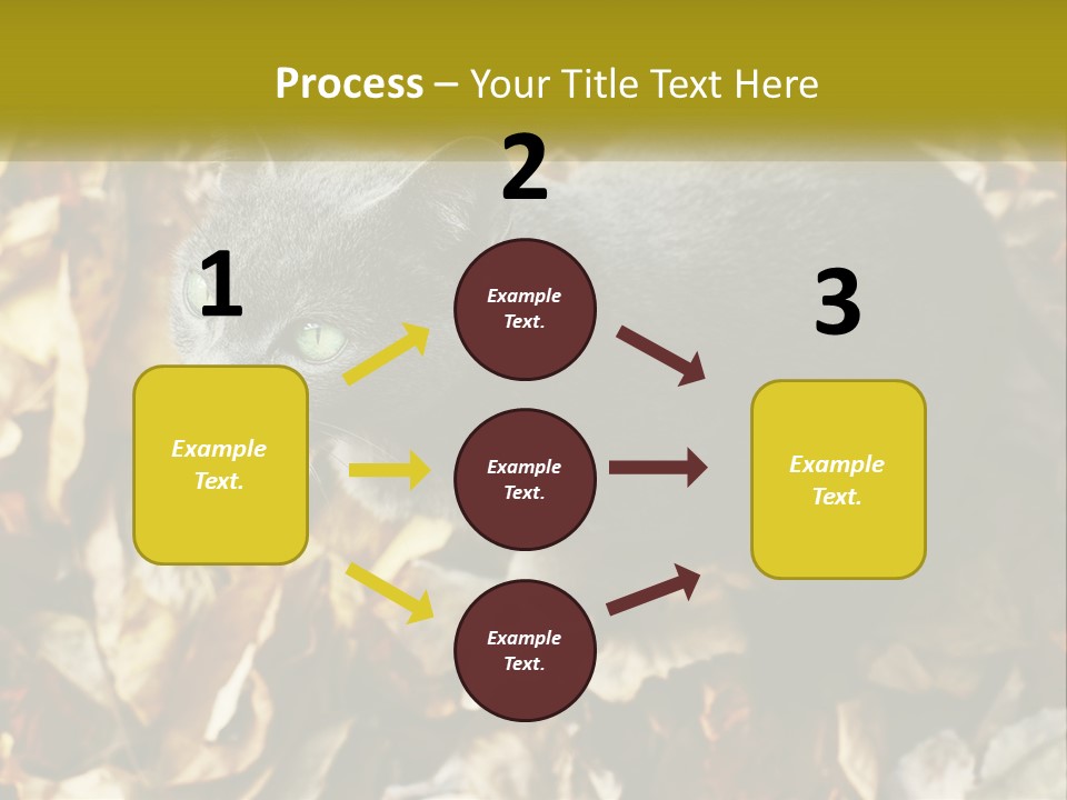 A Gray Cat Standing On Top Of A Pile Of Leaves PowerPoint Template