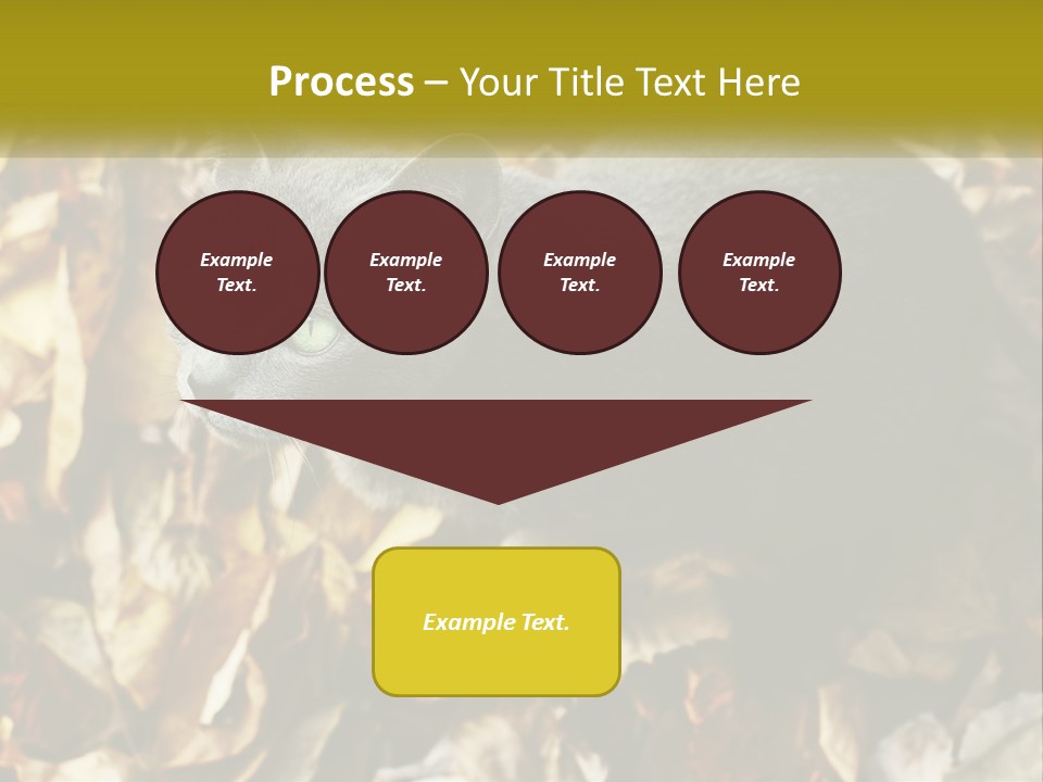 A Gray Cat Standing On Top Of A Pile Of Leaves PowerPoint Template