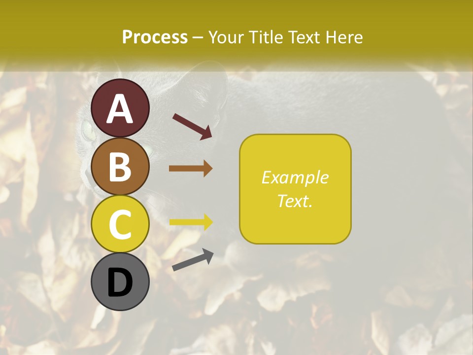 A Gray Cat Standing On Top Of A Pile Of Leaves PowerPoint Template