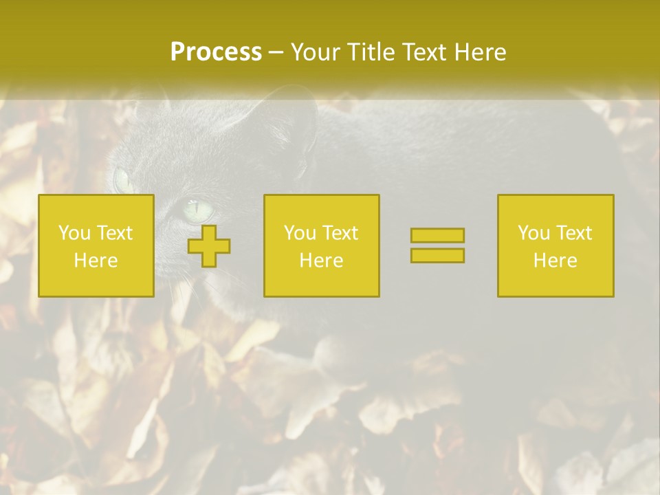 A Gray Cat Standing On Top Of A Pile Of Leaves PowerPoint Template