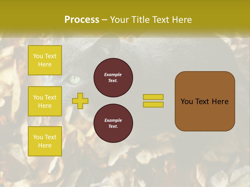 A Gray Cat Standing On Top Of A Pile Of Leaves PowerPoint Template