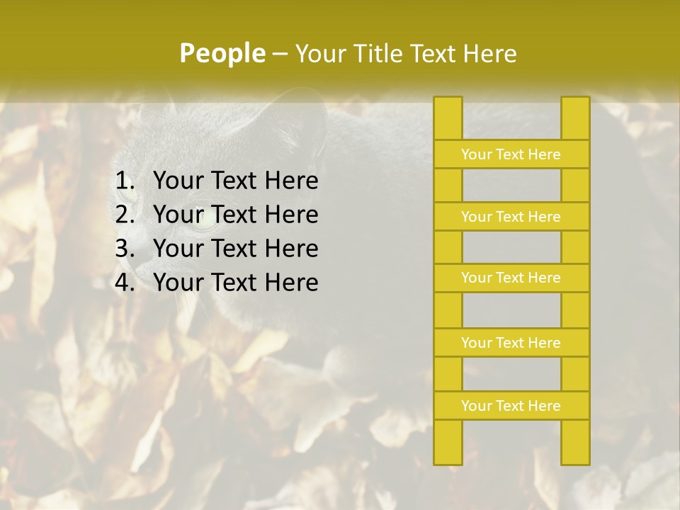 A Gray Cat Standing On Top Of A Pile Of Leaves PowerPoint Template