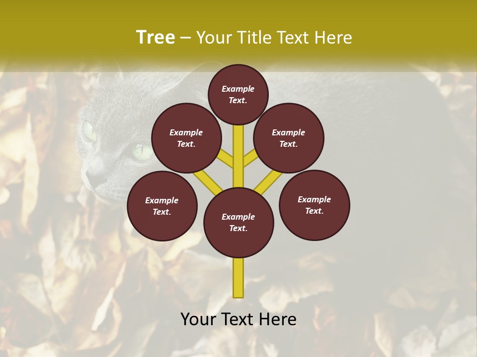 A Gray Cat Standing On Top Of A Pile Of Leaves PowerPoint Template