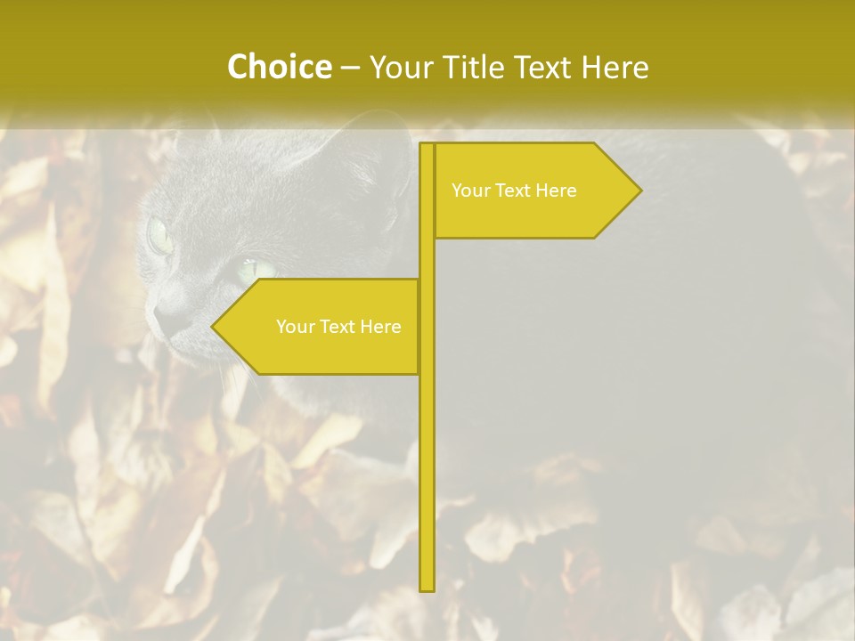 A Gray Cat Standing On Top Of A Pile Of Leaves PowerPoint Template