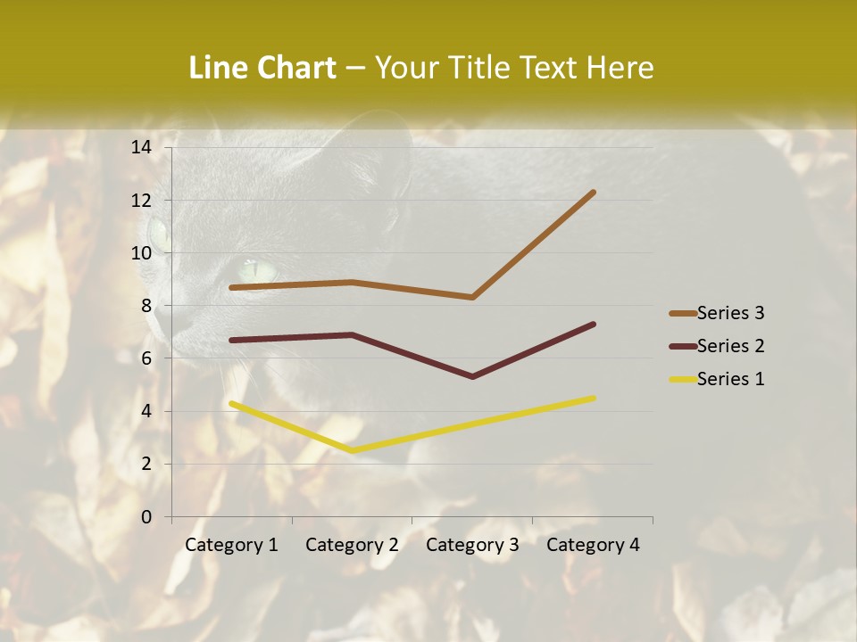 A Gray Cat Standing On Top Of A Pile Of Leaves PowerPoint Template