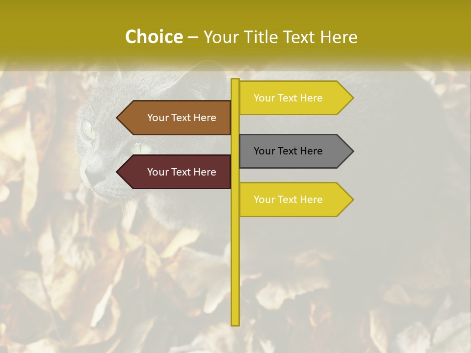 A Gray Cat Standing On Top Of A Pile Of Leaves PowerPoint Template