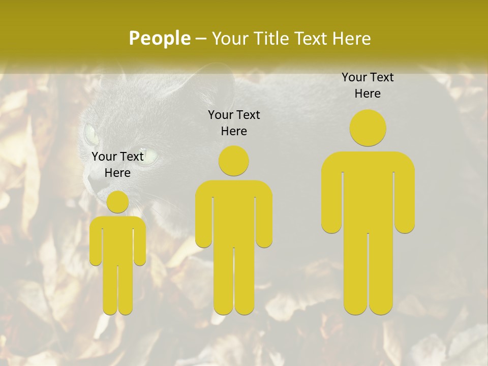 A Gray Cat Standing On Top Of A Pile Of Leaves PowerPoint Template