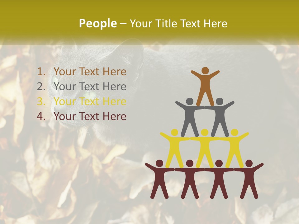 A Gray Cat Standing On Top Of A Pile Of Leaves PowerPoint Template