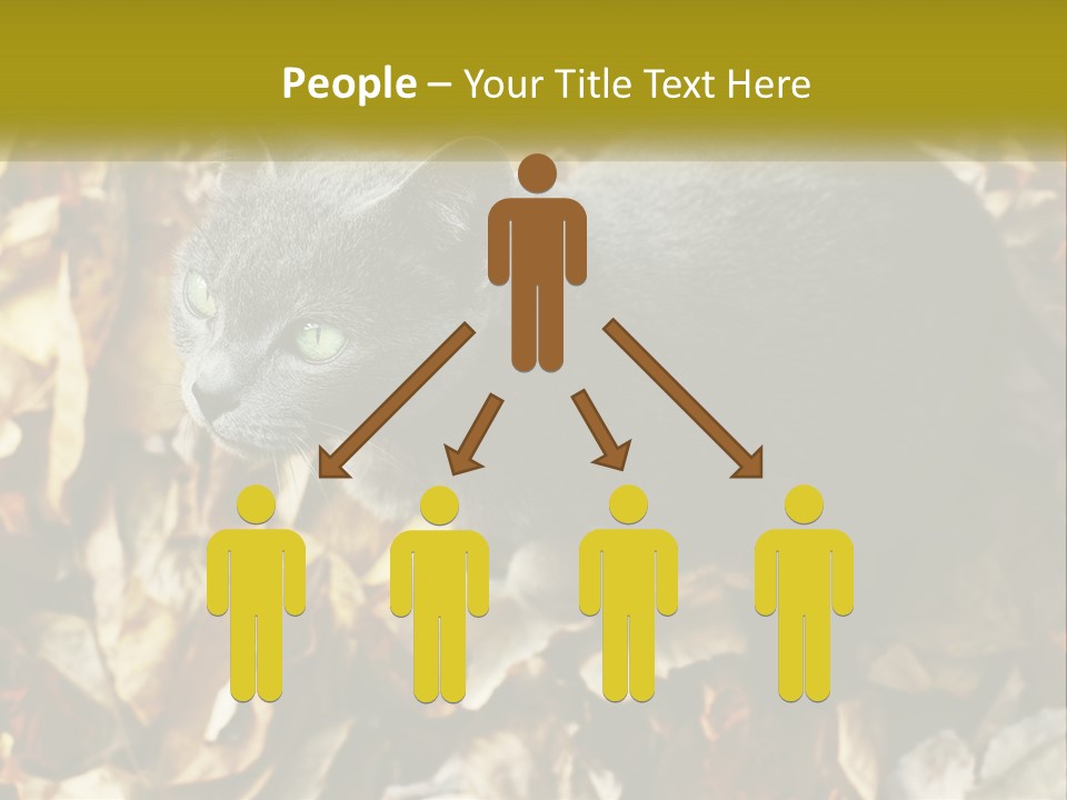 A Gray Cat Standing On Top Of A Pile Of Leaves PowerPoint Template