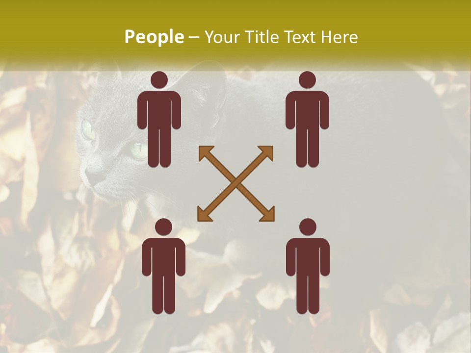 A Gray Cat Standing On Top Of A Pile Of Leaves PowerPoint Template