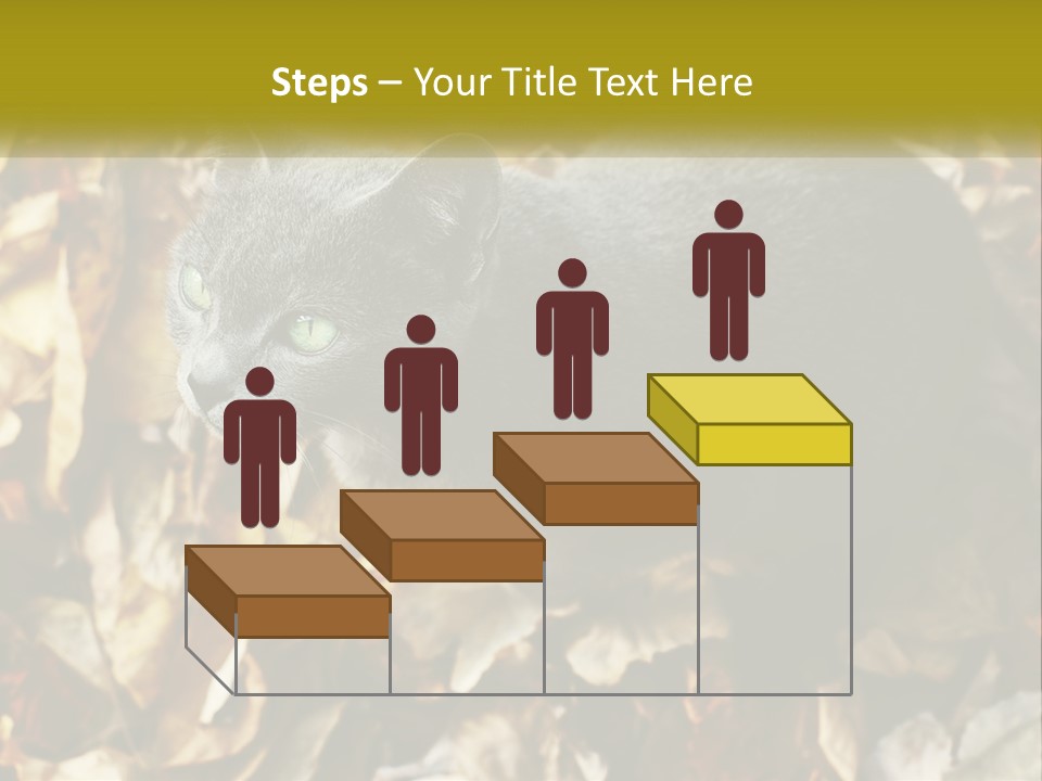 A Gray Cat Standing On Top Of A Pile Of Leaves PowerPoint Template