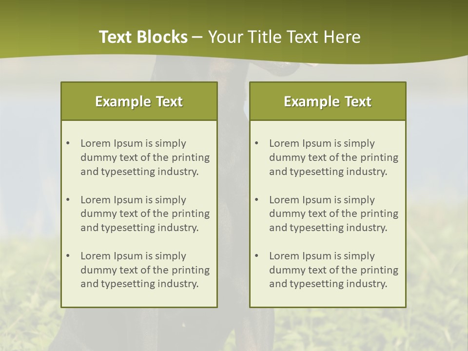 A Black And Brown Dog Sitting On Top Of A Lush Green Field PowerPoint Template