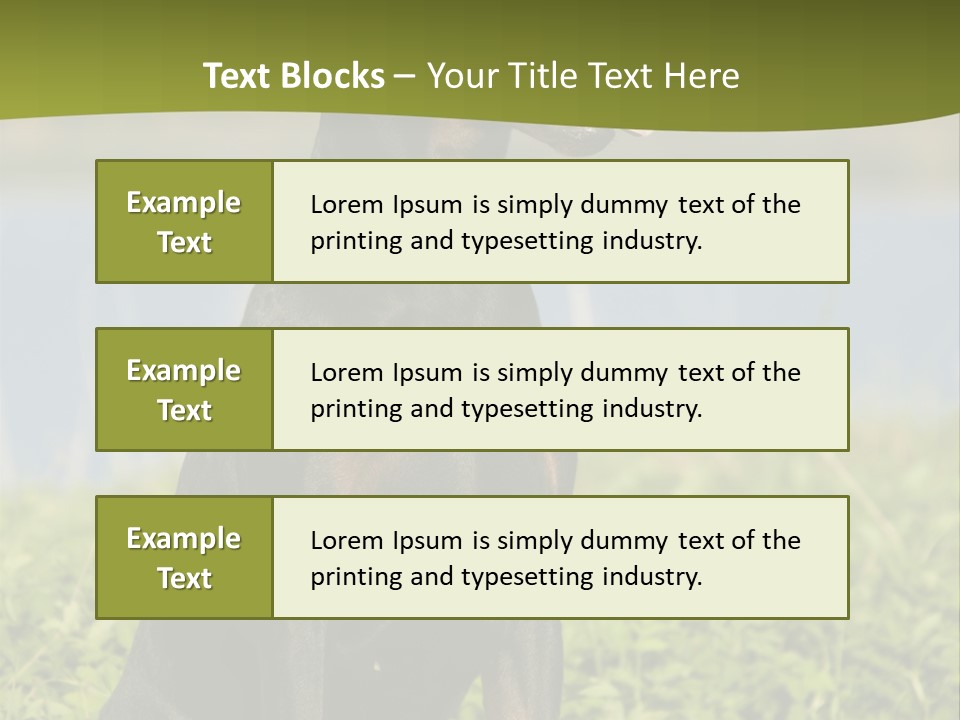 A Black And Brown Dog Sitting On Top Of A Lush Green Field PowerPoint Template