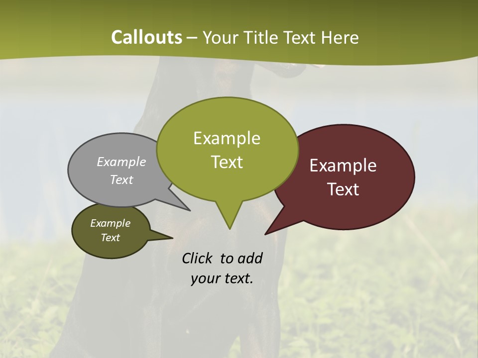 A Black And Brown Dog Sitting On Top Of A Lush Green Field PowerPoint Template