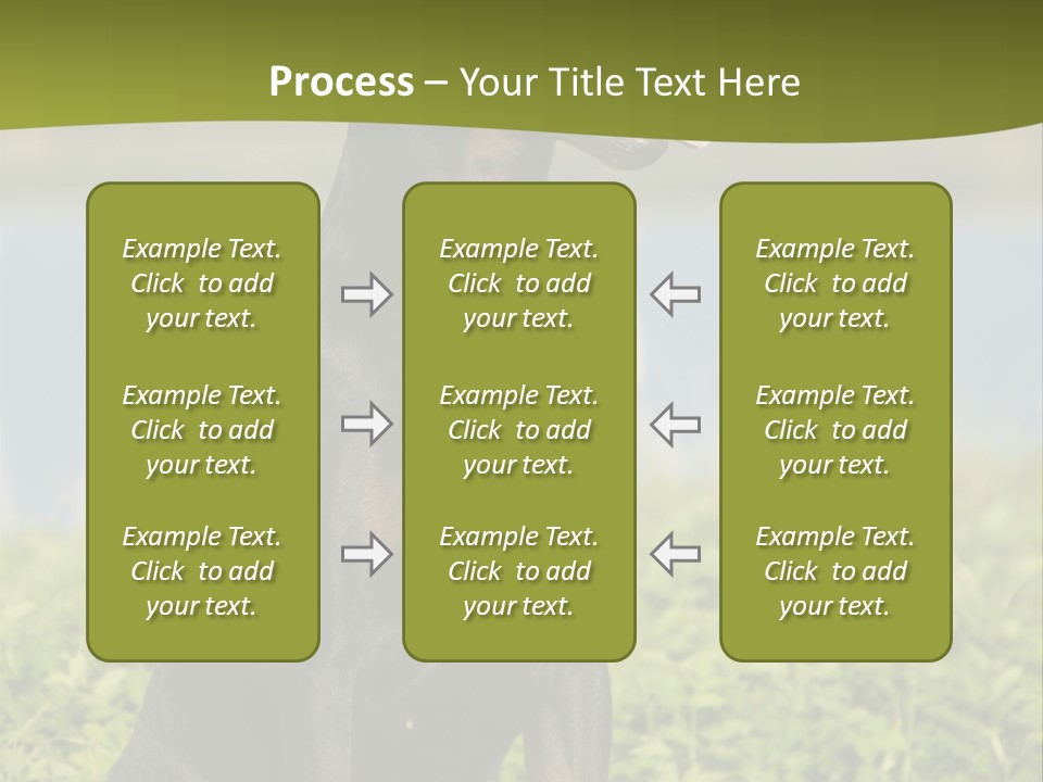 A Black And Brown Dog Sitting On Top Of A Lush Green Field PowerPoint Template
