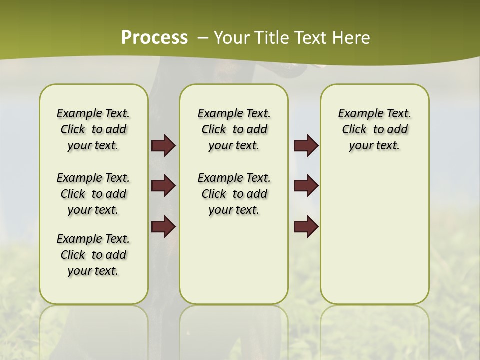 A Black And Brown Dog Sitting On Top Of A Lush Green Field PowerPoint Template