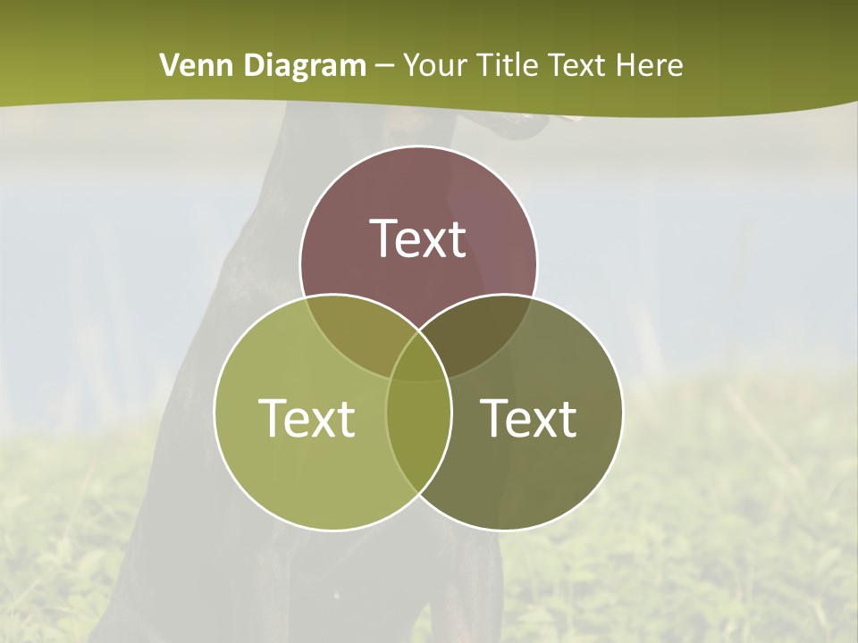 A Black And Brown Dog Sitting On Top Of A Lush Green Field PowerPoint Template