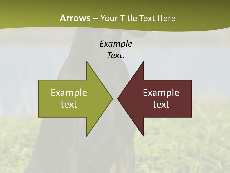 A Black And Brown Dog Sitting On Top Of A Lush Green Field PowerPoint Template