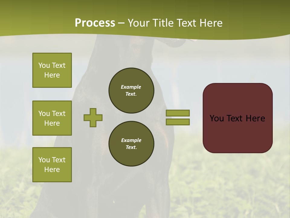 A Black And Brown Dog Sitting On Top Of A Lush Green Field PowerPoint Template