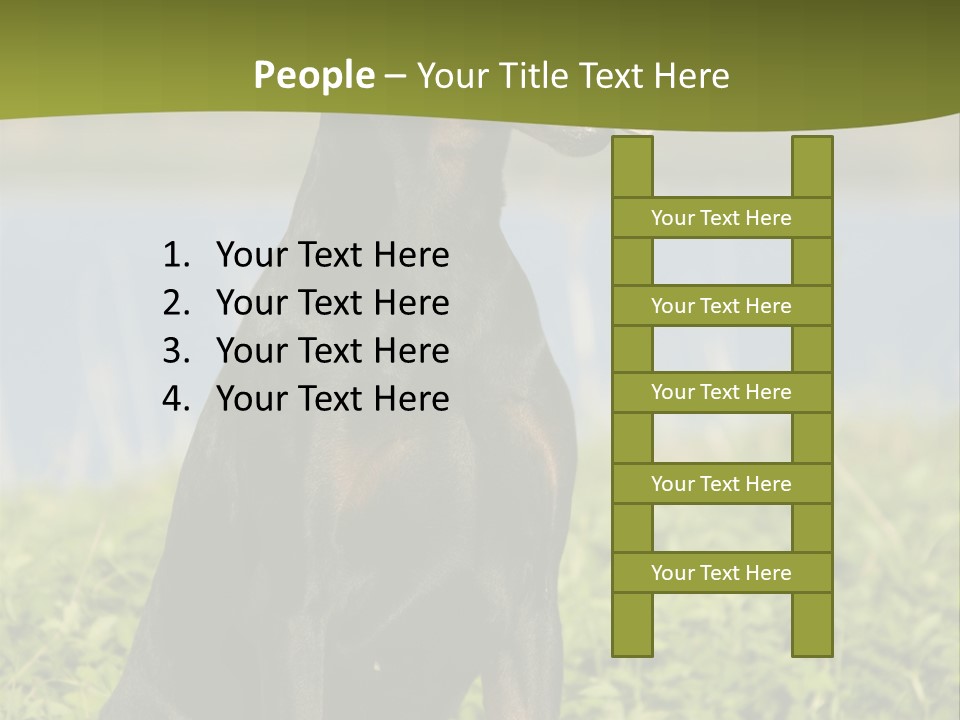 A Black And Brown Dog Sitting On Top Of A Lush Green Field PowerPoint Template
