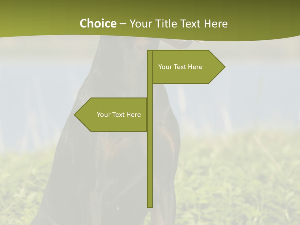 A Black And Brown Dog Sitting On Top Of A Lush Green Field PowerPoint Template