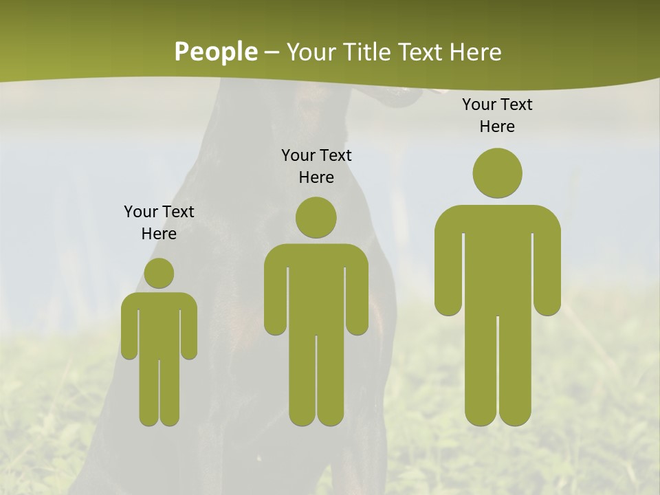 A Black And Brown Dog Sitting On Top Of A Lush Green Field PowerPoint Template