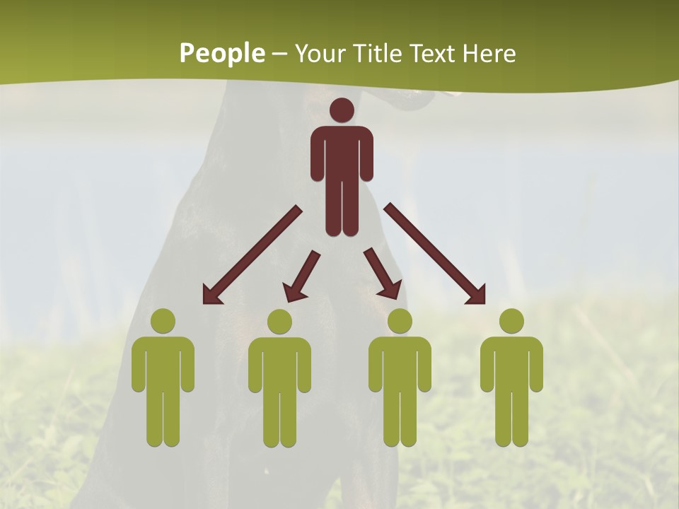 A Black And Brown Dog Sitting On Top Of A Lush Green Field PowerPoint Template