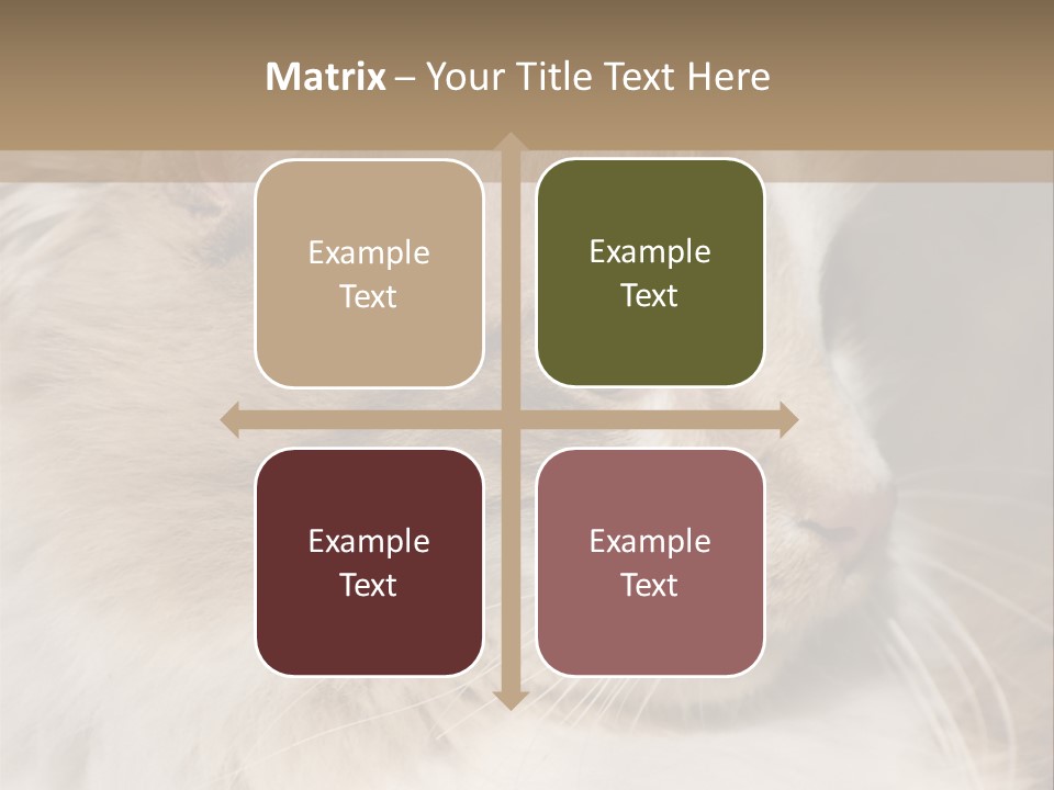 A Brown And White Cat Is Looking At Something PowerPoint Template