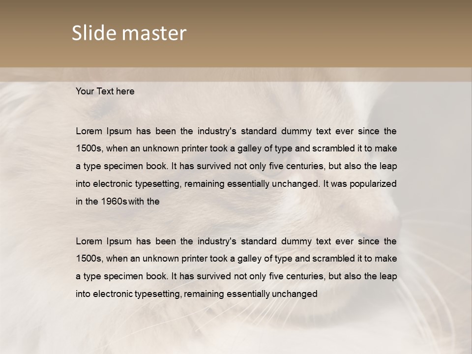 A Brown And White Cat Is Looking At Something PowerPoint Template