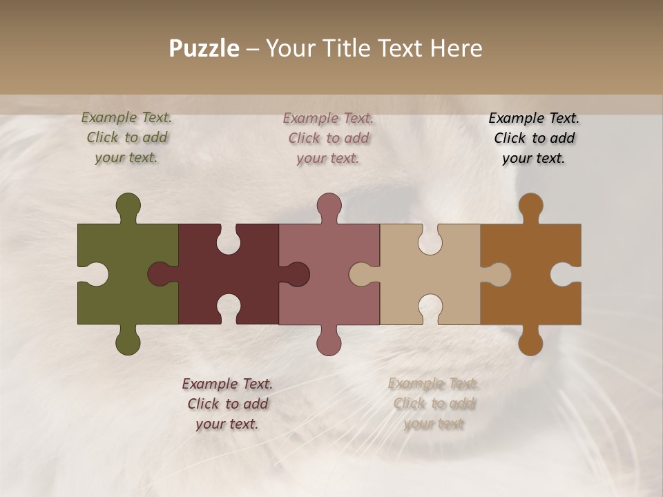 A Brown And White Cat Is Looking At Something PowerPoint Template