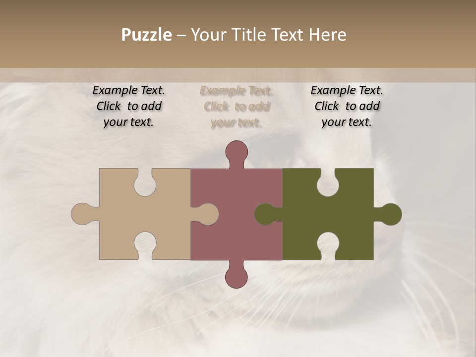 A Brown And White Cat Is Looking At Something PowerPoint Template