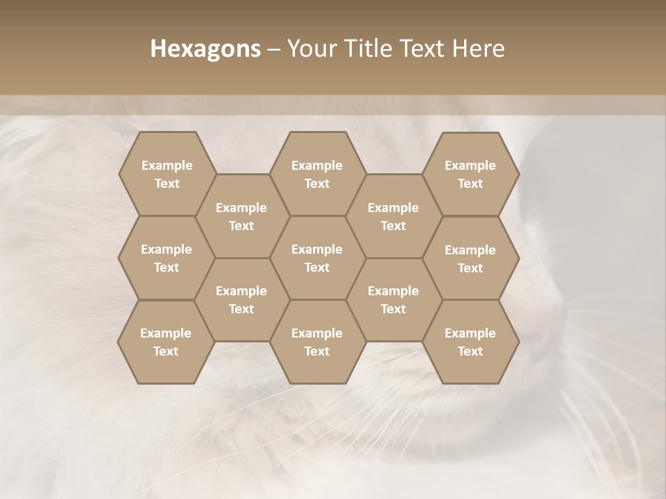 A Brown And White Cat Is Looking At Something PowerPoint Template